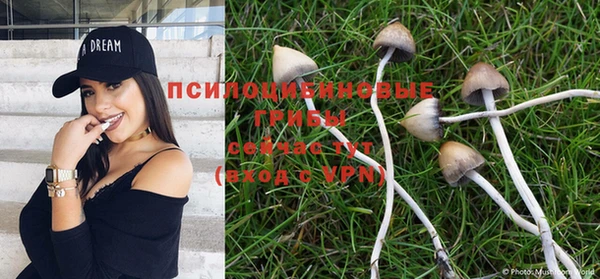 apvp Балабаново