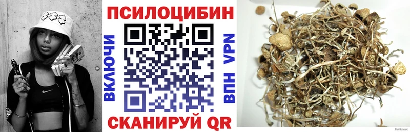 shop состав Узловая Псилоцибиновые грибы мицелий blacksprut онион