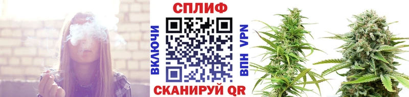 Бошки Шишки семена ссылка на мегу зеркало Узловая цены наркотик